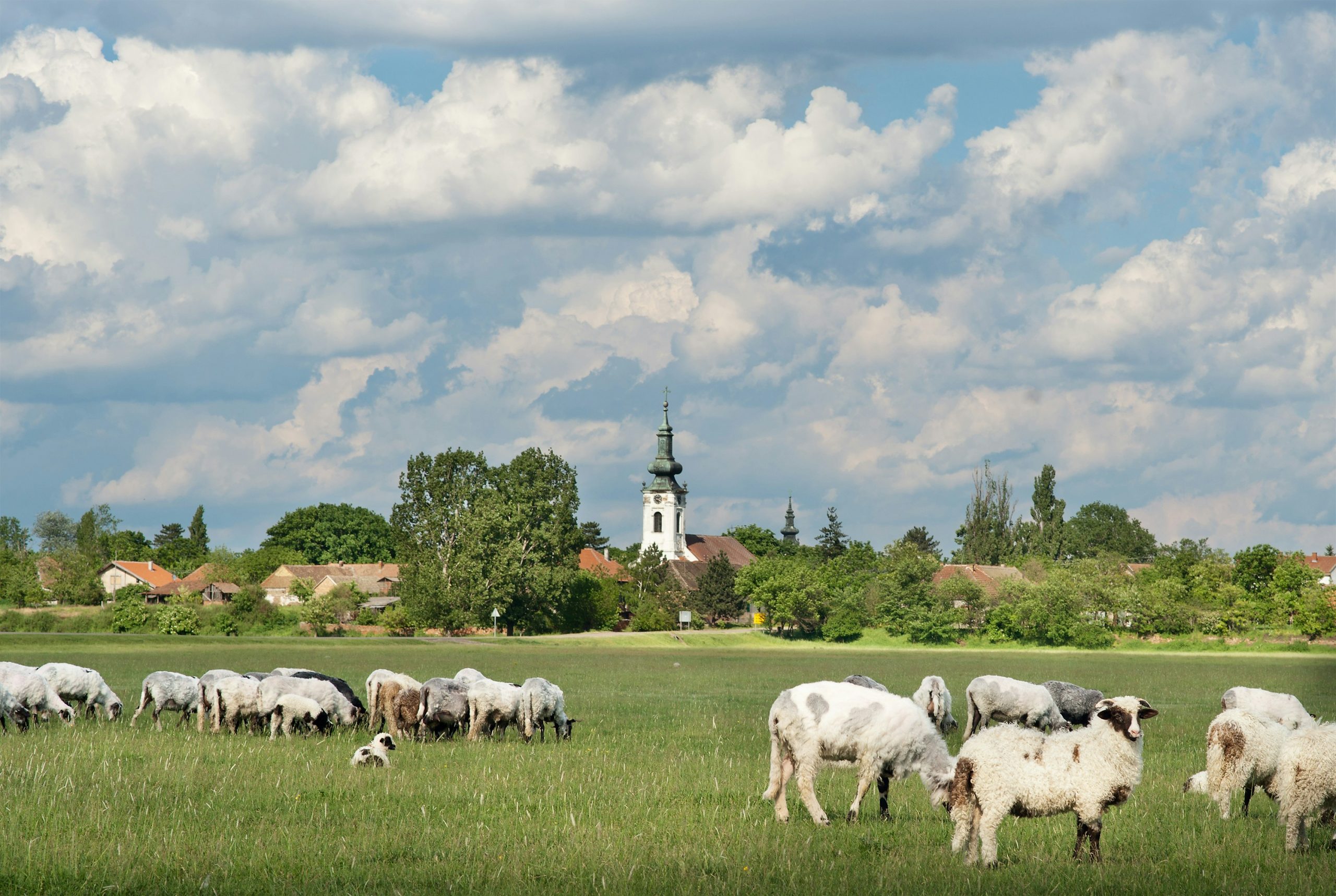 getty-images-qkBADNGduV8-unsplash