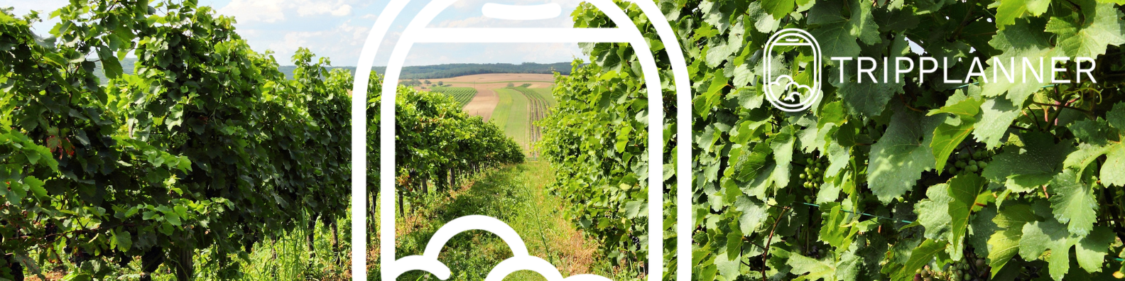 © Tripplanner ReiseService GmbH | Canva